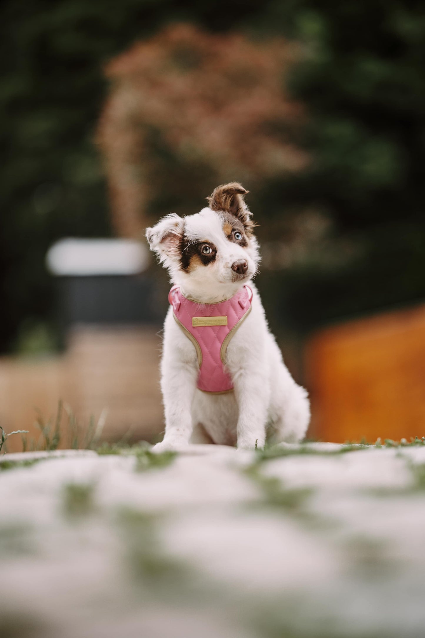 Pink Diamond | Bubblegum Vegan Leather - Build Your Own Dog Harness Bundle