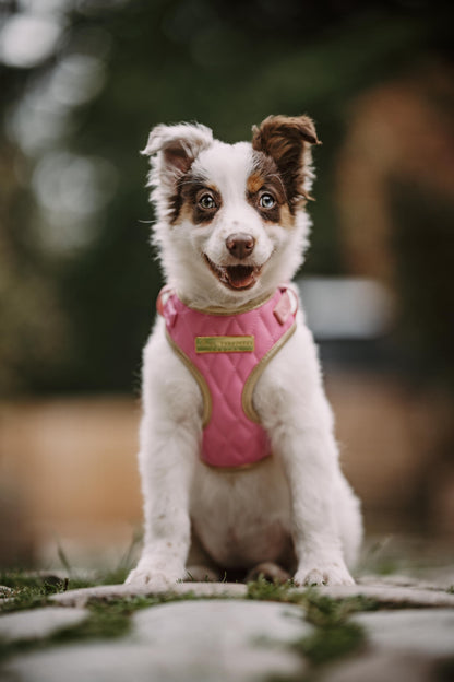 Pink Diamond | Bubblegum Vegan Leather - Build Your Own Dog Harness Bundle