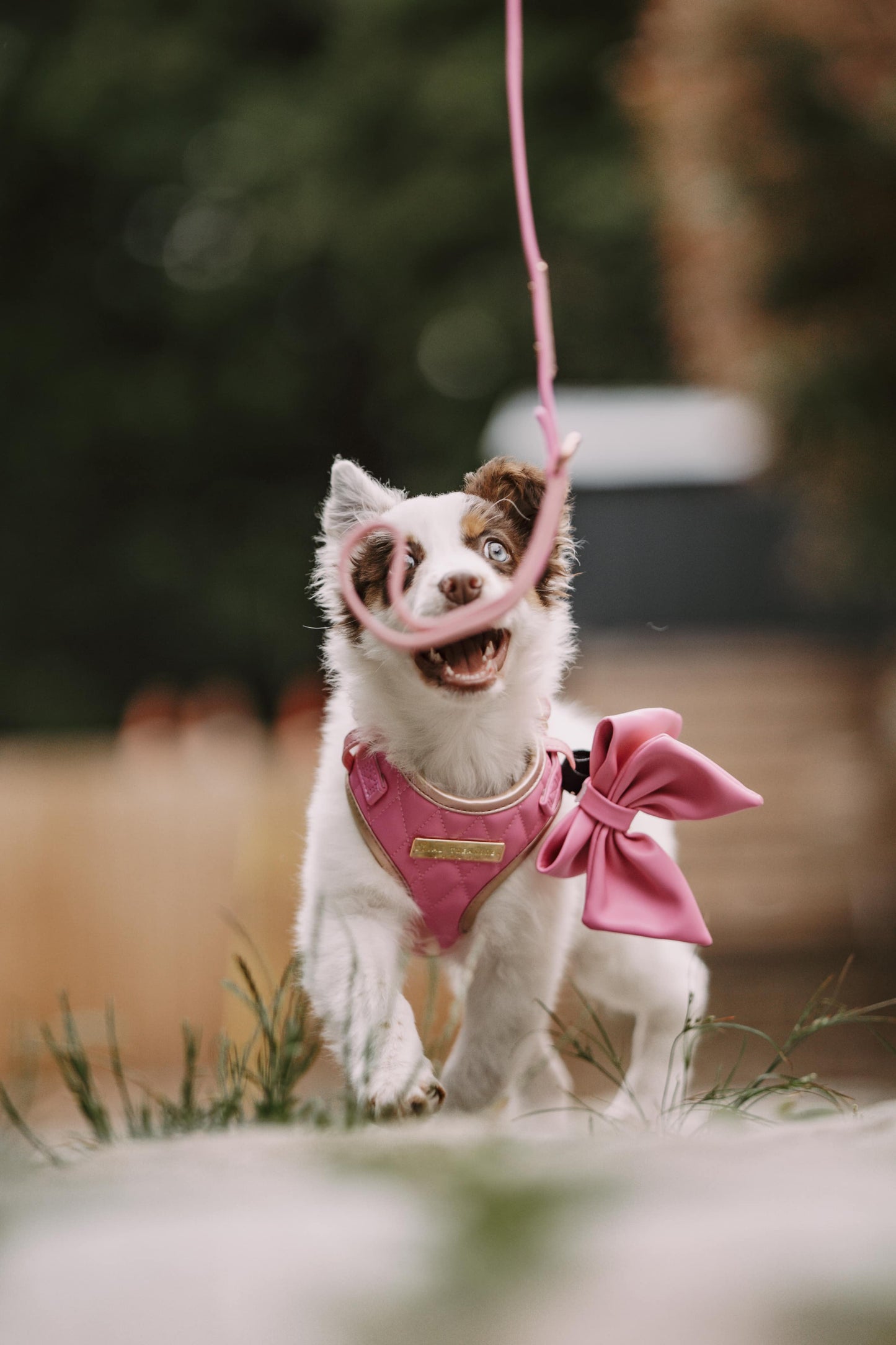 Pink Diamond | Bubblegum Vegan Leather - Build Your Own Dog Harness Bundle