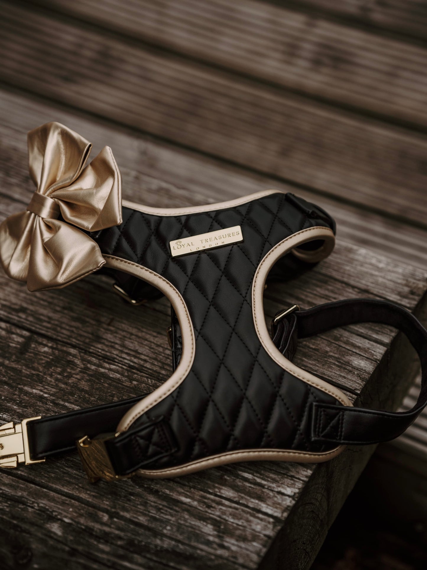 Black Diamond | Blackjack Vegan Leather - Build Your Own Dog Harness Bundle