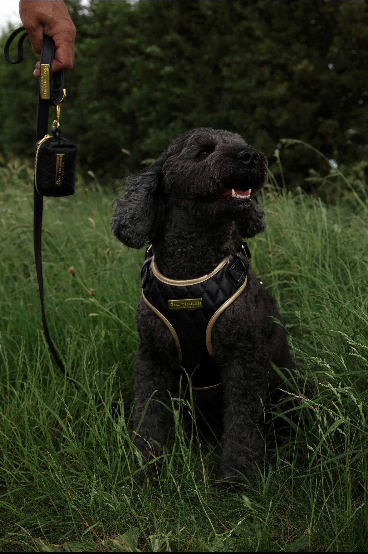 Black Diamond | Blackjack Vegan Leather - Build Your Own Dog Harness Bundle