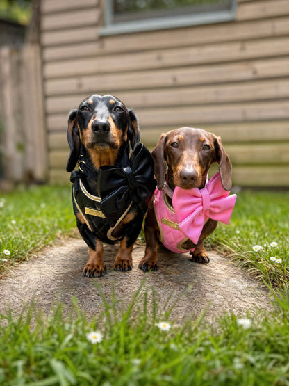 Black Diamond | Blackjack Vegan Leather - Build Your Own Dog Harness Bundle