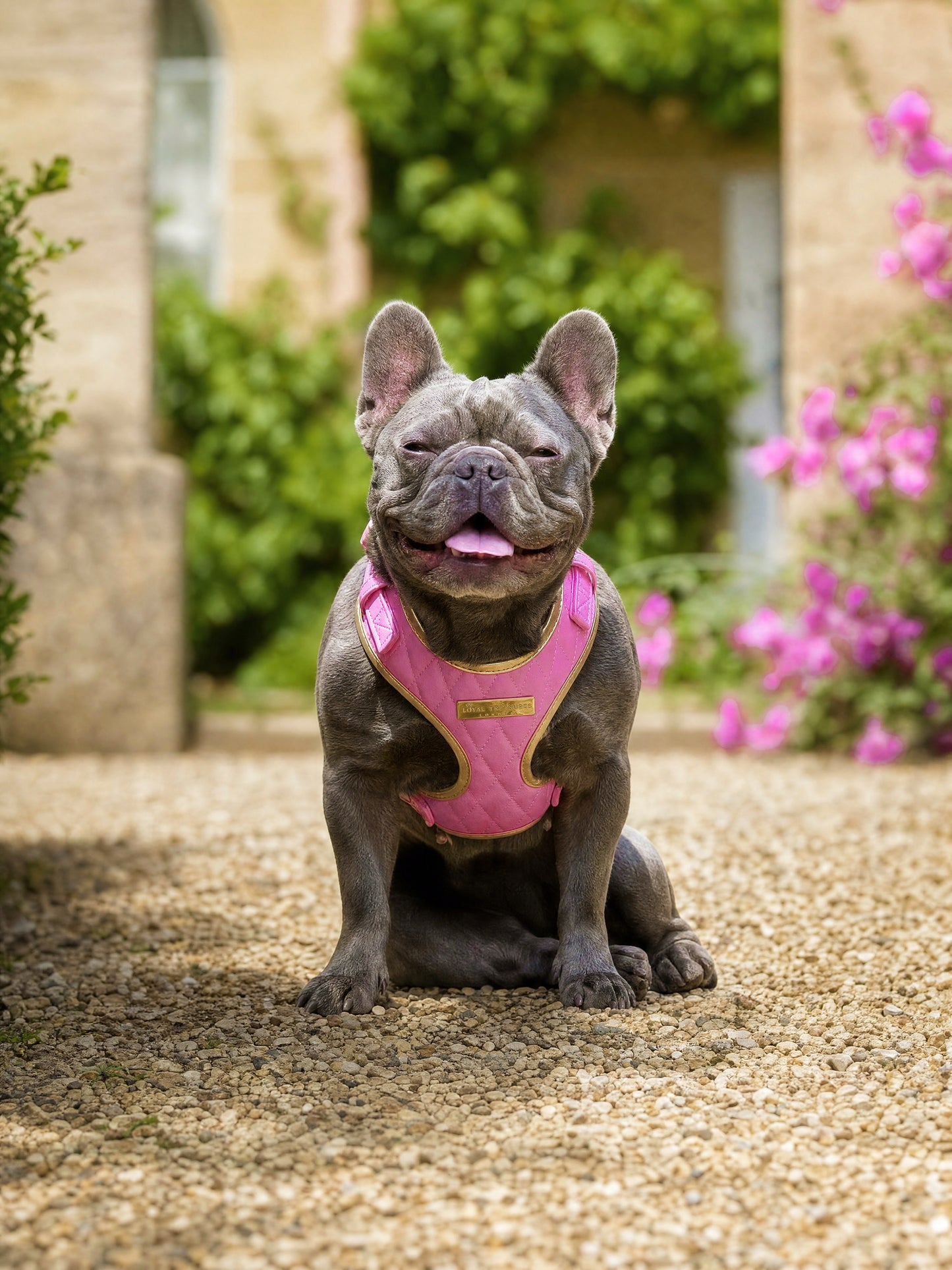 Pink Diamond | Bubblegum Vegan Leather - Build Your Own Dog Harness Bundle