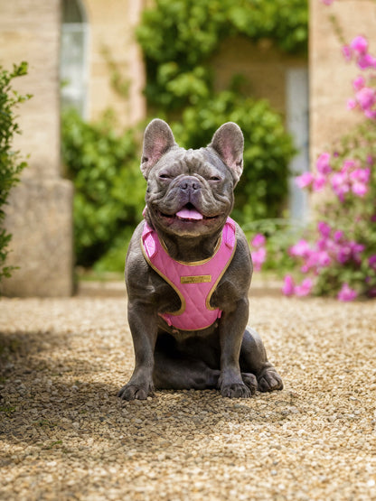 Pink Diamond | Bubblegum Vegan Leather - Build Your Own Dog Harness Bundle