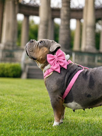 Pink Diamond | Bubblegum Vegan Leather - Build Your Own Dog Harness Bundle