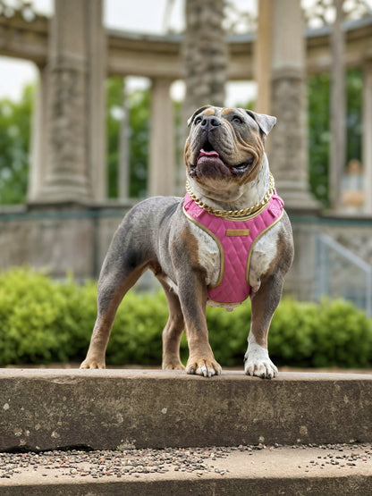 Pink Diamond | Bubblegum Vegan Leather - Build Your Own Dog Harness Bundle