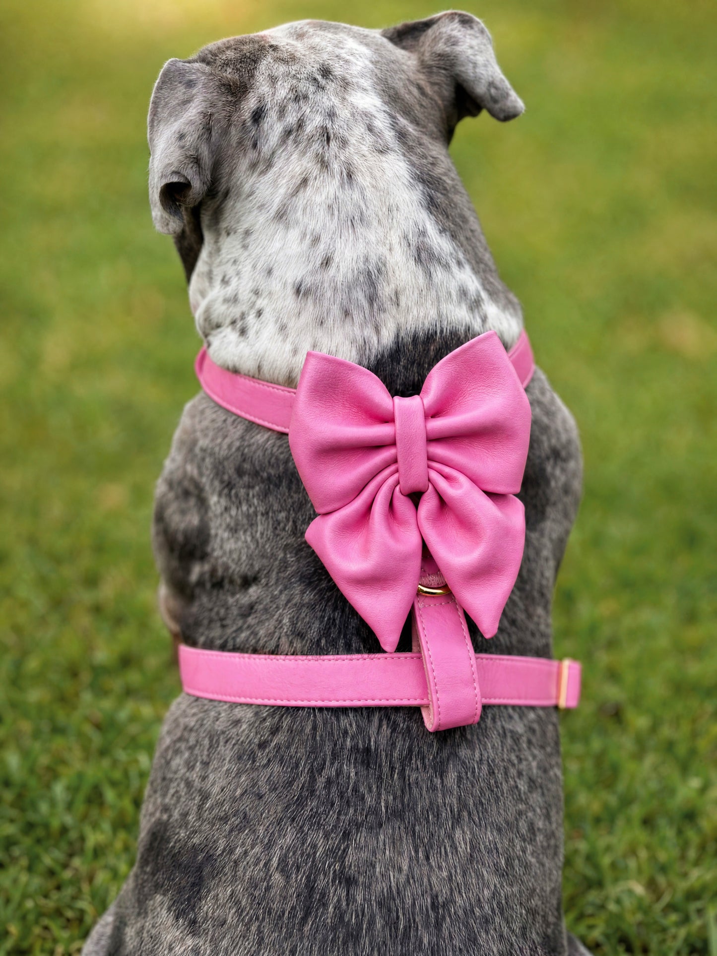 Pink Diamond | Bubblegum Vegan Leather - Build Your Own Dog Harness Bundle