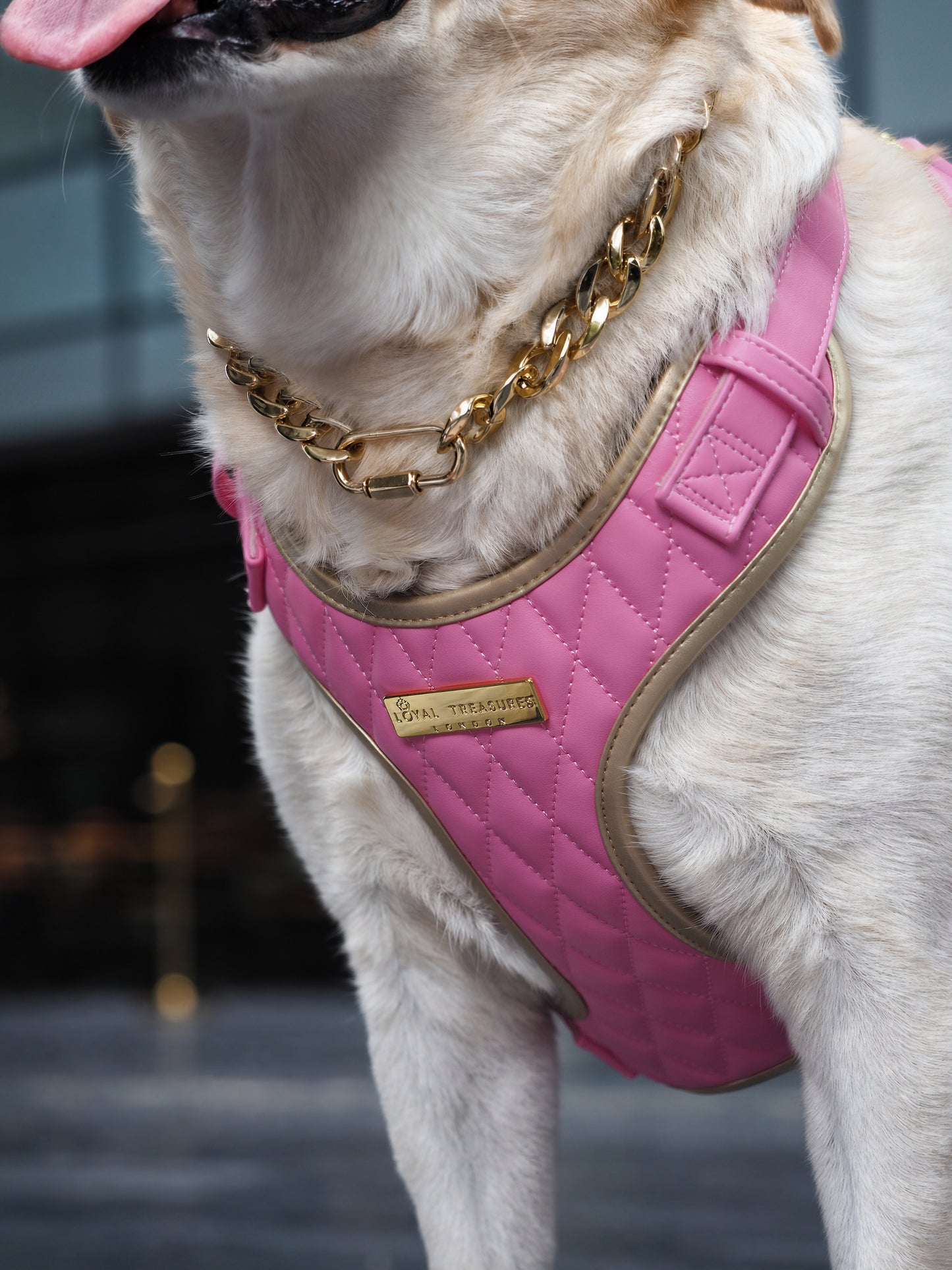 Pink Diamond | Bubblegum Vegan Leather - Build Your Own Dog Harness Bundle