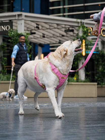 Pink Diamond | Bubblegum Vegan Leather - Build Your Own Dog Harness Bundle