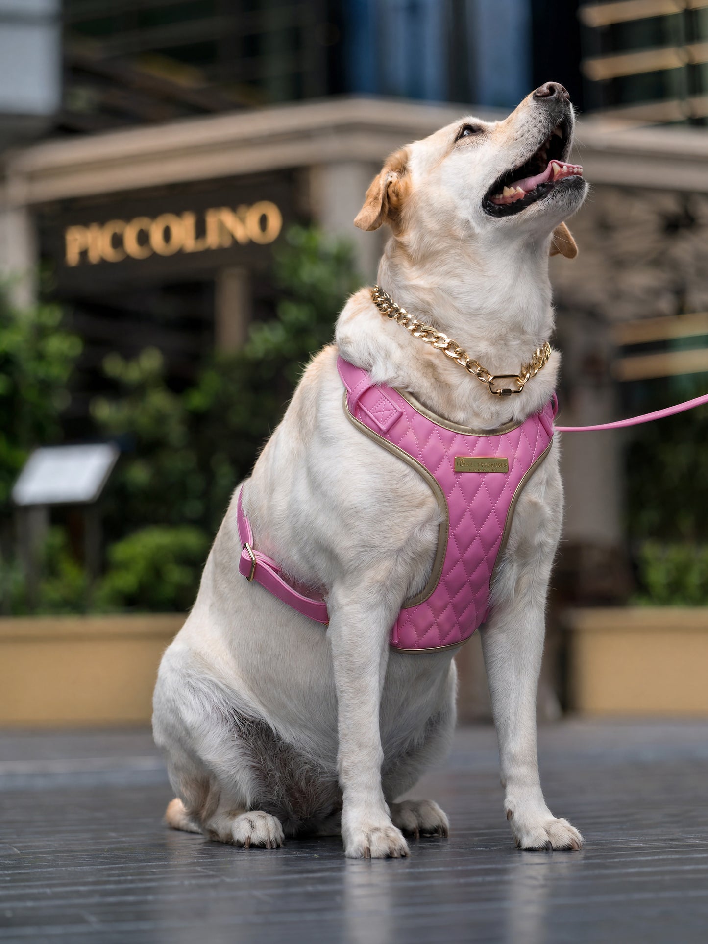 Pink Diamond | Bubblegum Vegan Leather - Build Your Own Dog Harness Bundle