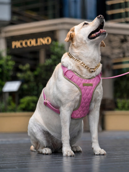 Pink Diamond | Bubblegum Vegan Leather - Build Your Own Dog Harness Bundle