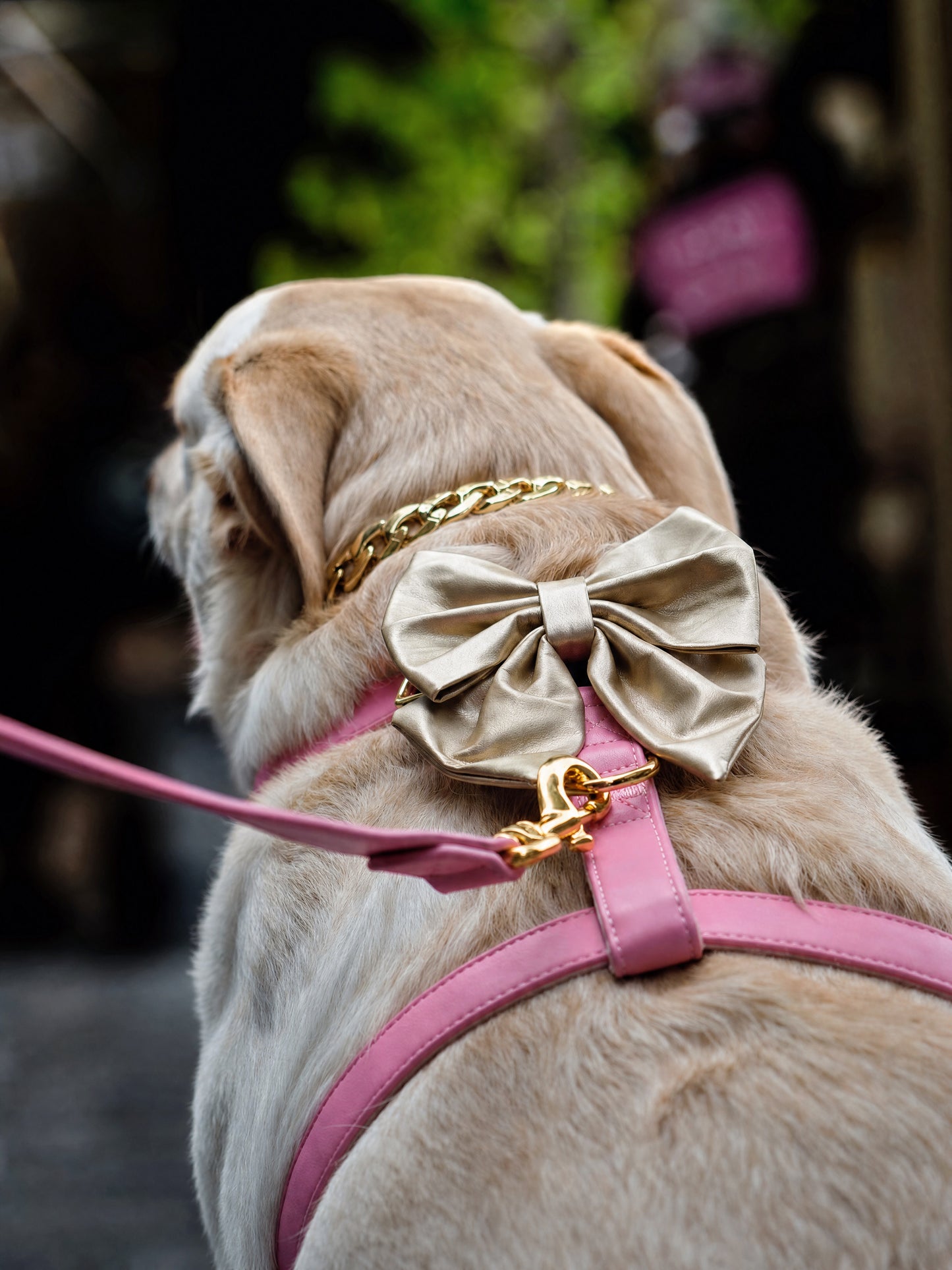 Pink Diamond | Bubblegum Vegan Leather - Build Your Own Dog Harness Bundle