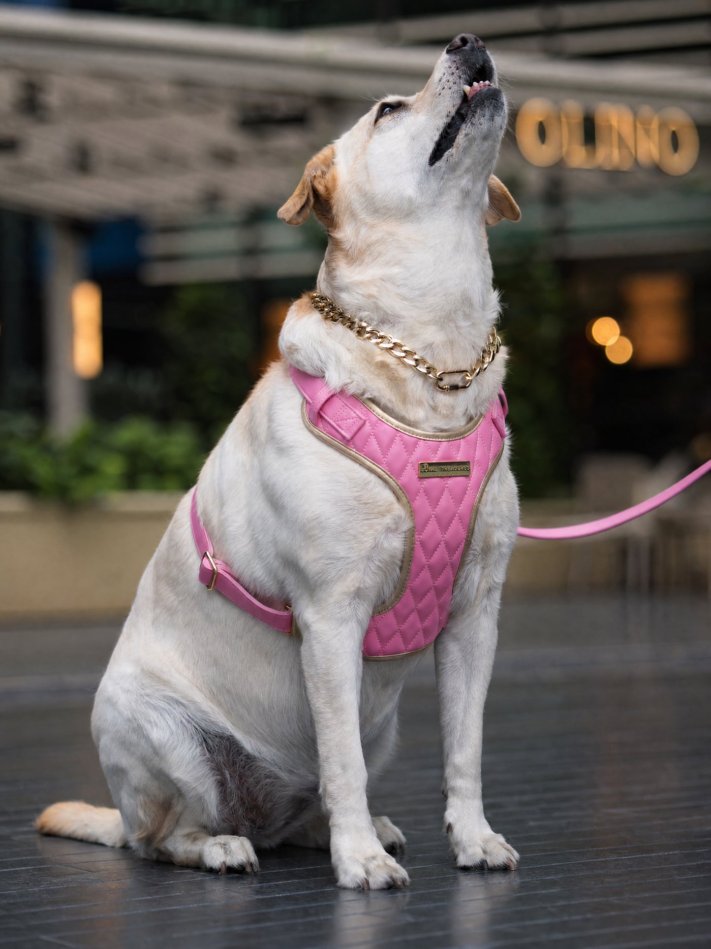 Pink Diamond | Bubblegum Vegan Leather - Build Your Own Dog Harness Bundle