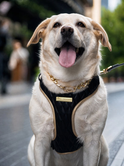 Black Diamond | Blackjack Vegan Leather - Build Your Own Dog Harness Bundle