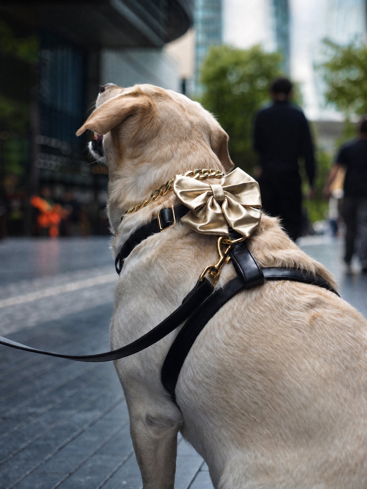 Black Diamond | Blackjack Vegan Leather - Build Your Own Dog Harness Bundle